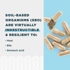 Ancient Nutrition SBO Probiotics for Digestive Health


