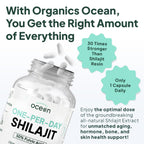 Organics Ocean Shilajit Supplement - Himalayan Shilajit

