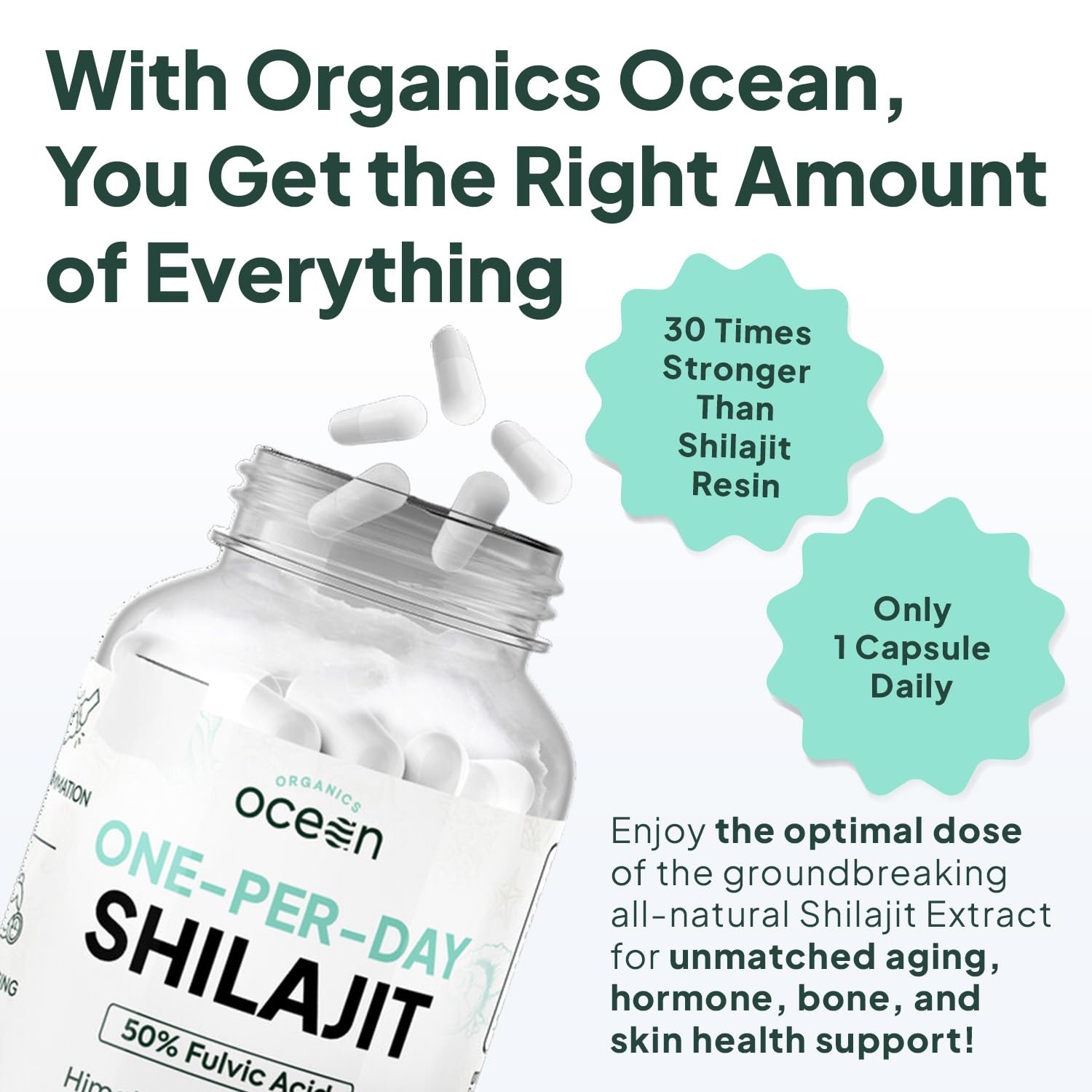 Organics Ocean Shilajit Supplement - Himalayan Shilajit

