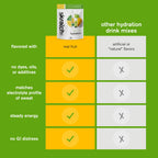 Skratch Labs Hydration Mix – Real?Fruit Electrolyte Powder

