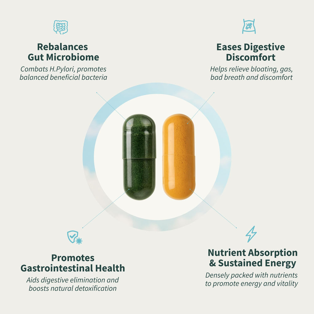 Gut Health Lipase & Greens Bundle - Snap Supplements

