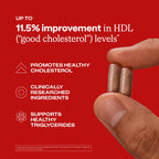HumanN Cholesterol Health Supplement Garlic & Bergamot

