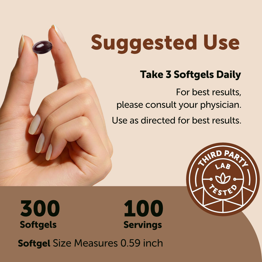 Micro Ingredients Ceylon Cinnamon Supplement with MCT Oil

