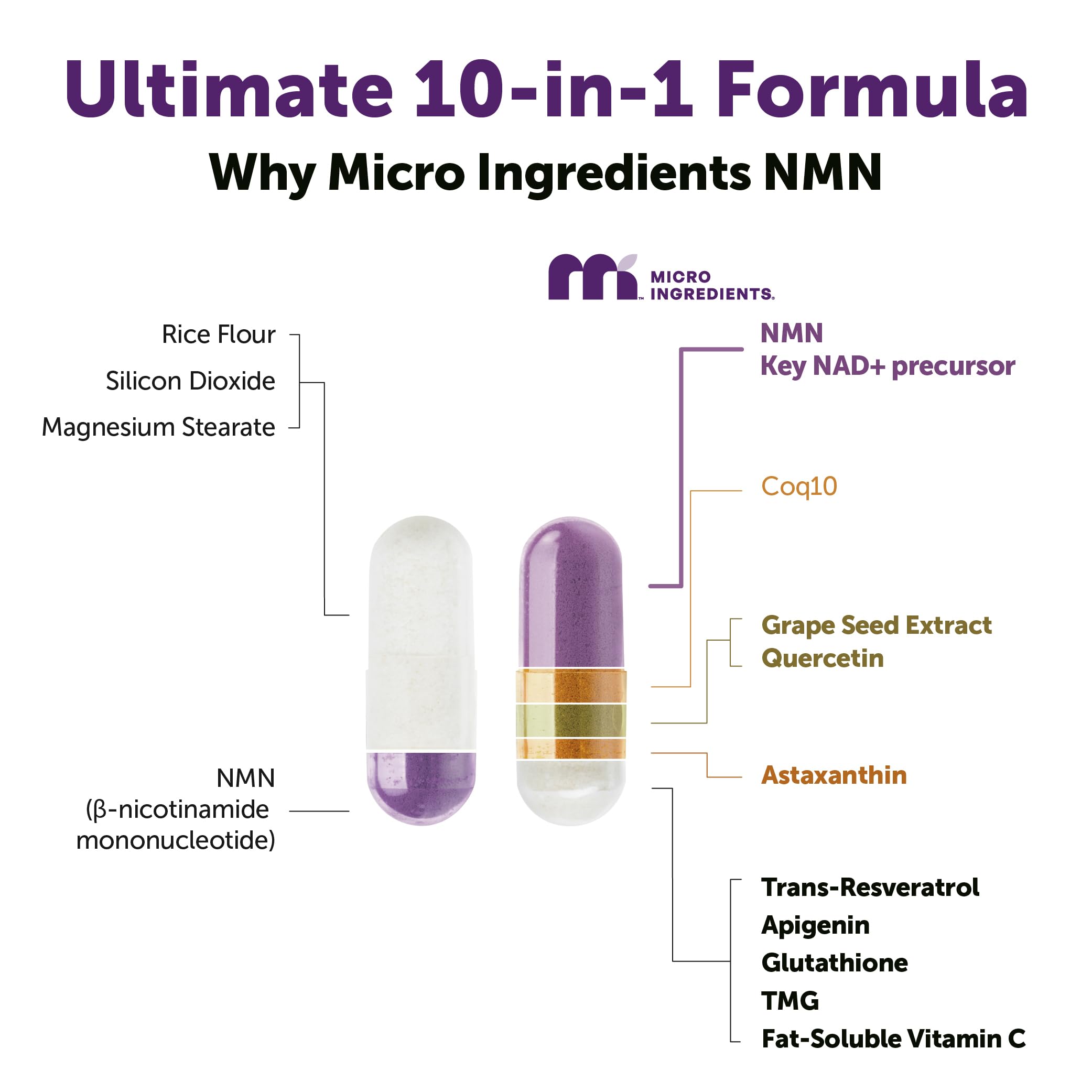 Micro Ingredients NMN Complex 1000mg NAD+ Precursor

