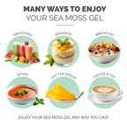 Sea Moss Gel by EverSmith Organics | USA Made

