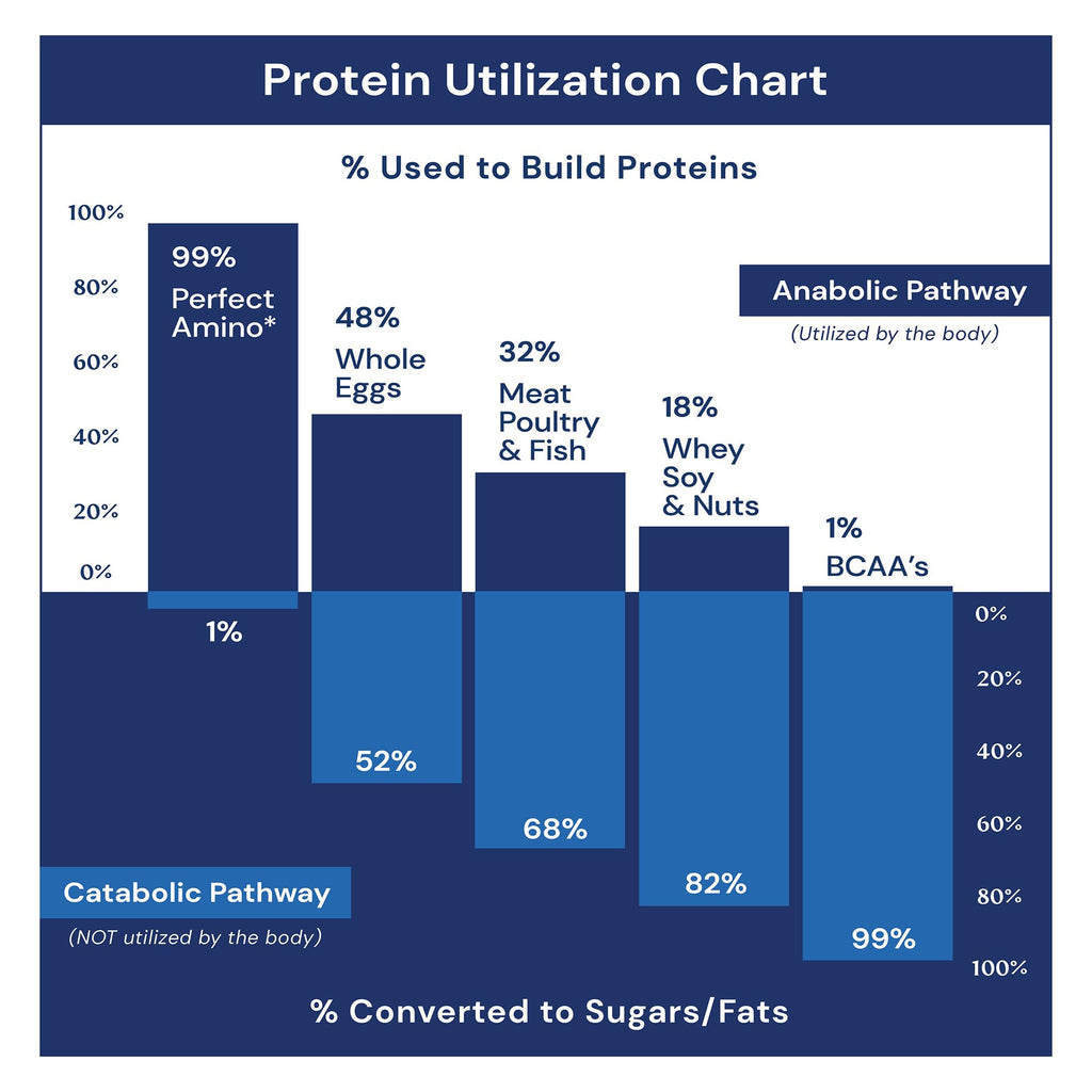 BodyHealth PerfectAmino Powder - BCAA & EAA for Muscle Recovery

