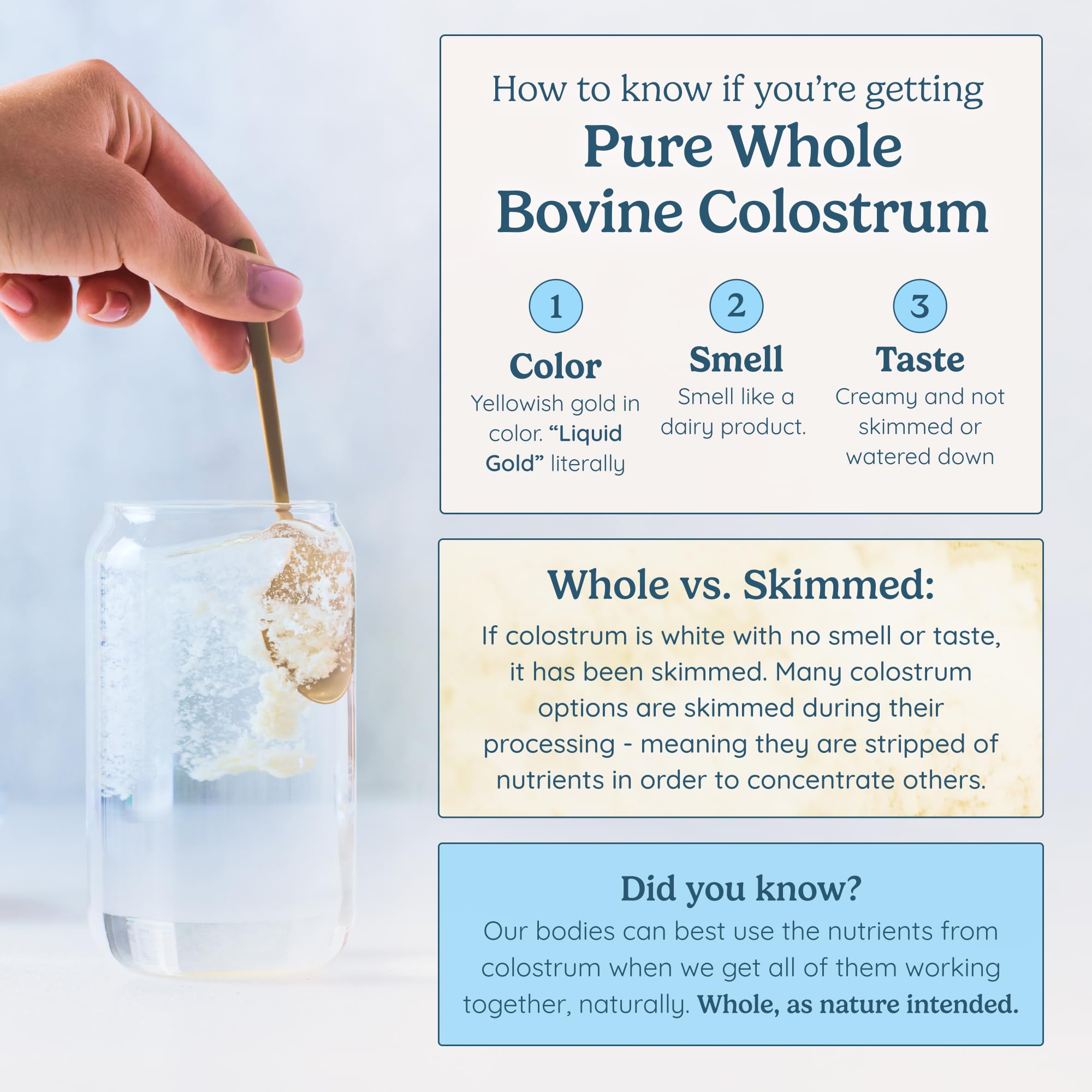 WonderCow Colostrum Powder for Gut Health

