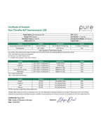 Saccharomyces Boulardii Probiotics by Pure TheraPro Rx

