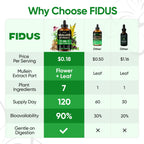 Fidus Mullein Drops for Lungs – Herbal Respiratory Support

