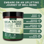 Sea Moss Gummies with Bladderwrack – Immune & Digestion

