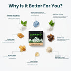 Larineco Nano Hydroxyapatite Remineralizing Gum | Xylitol

