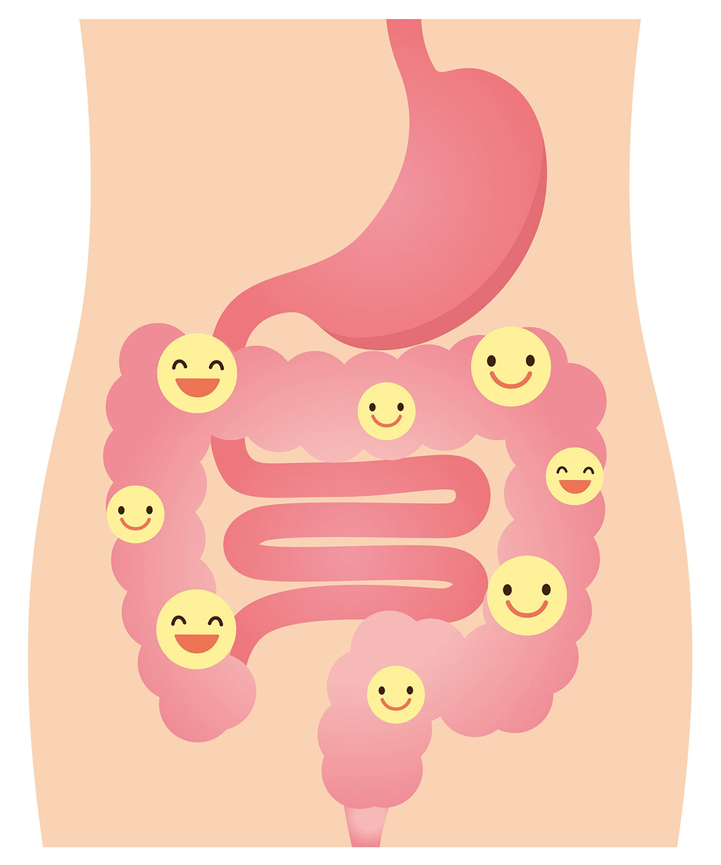 DrFormulas Nexabiotic Multi Probiotic 23-Strain Formula

