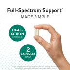 MAV Nutrition Prebiotics & Probiotics for Gut Health


