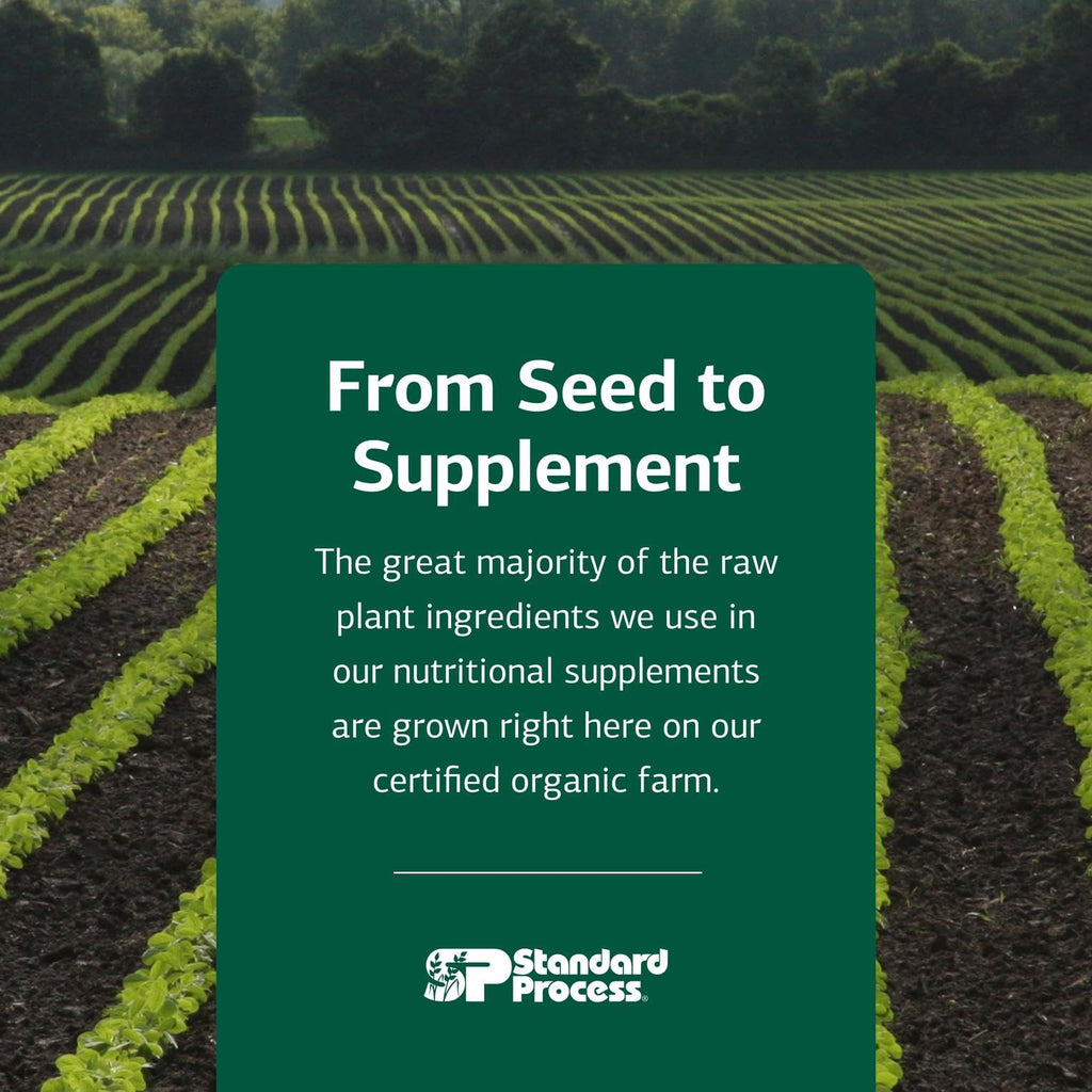 Cholacol Gallbladder Support Supplement by Standard Process

