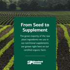 Cholacol Gallbladder Support Supplement by Standard Process

