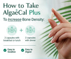 ALGAECAL Organic Red Algae Calcium with D3 & K2 MK7

