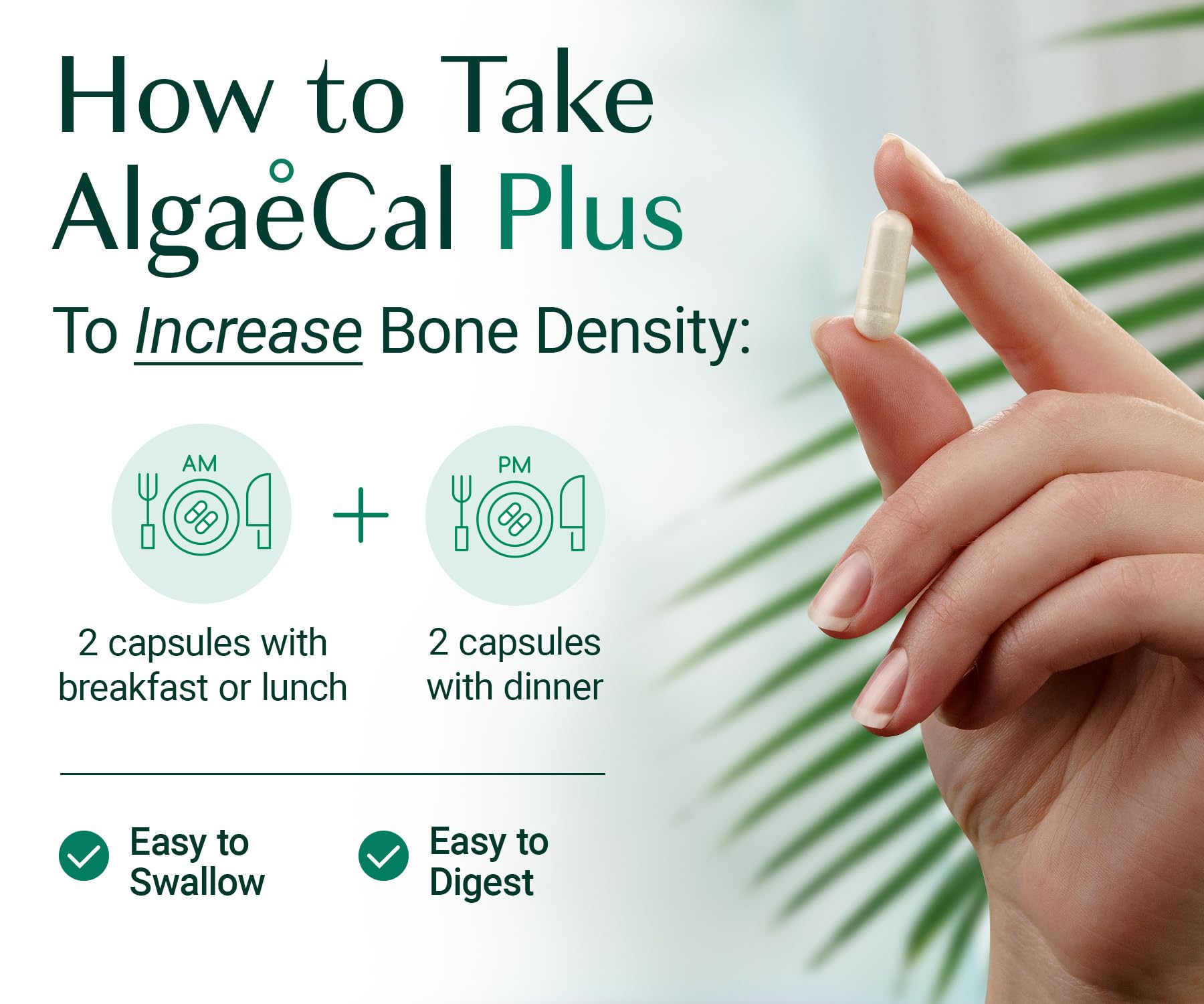 ALGAECAL Organic Red Algae Calcium with D3 & K2 MK7

