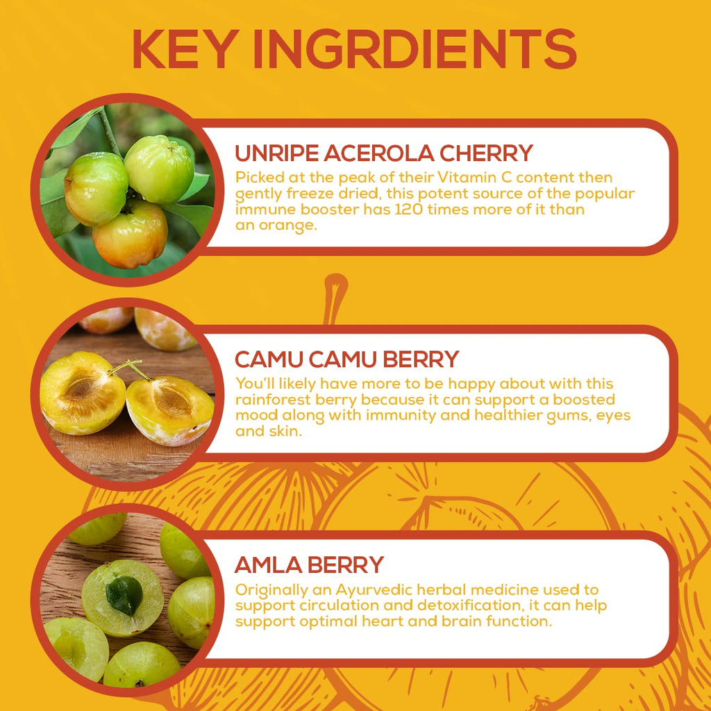 Vitamin C Paleovalley Essential C Complex Supplement

