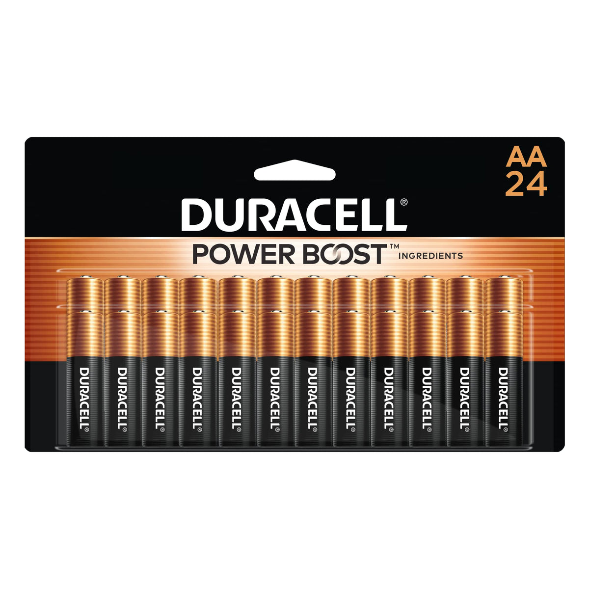 Duracell Coppertop Alkaline Batteries Reclosable Pack