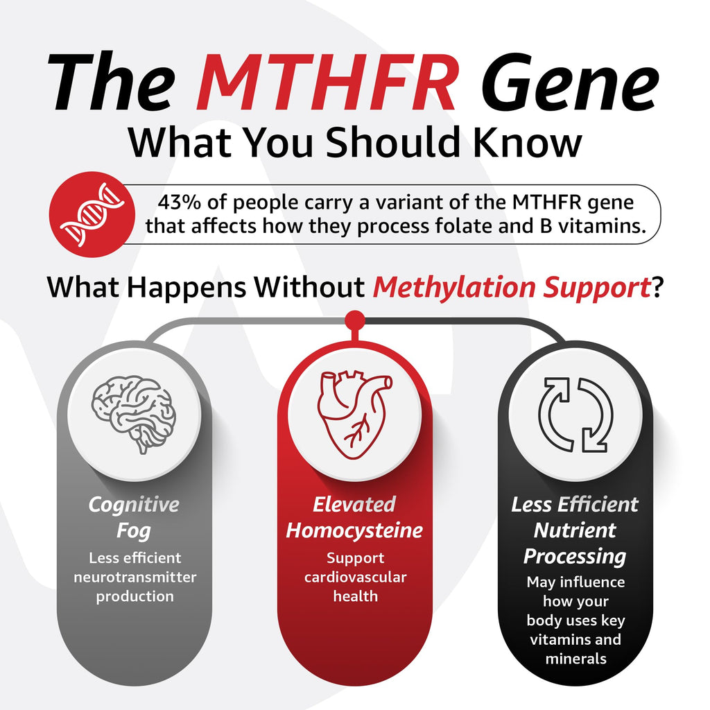 Methylated Multivitamin by 10X Health Optimize

