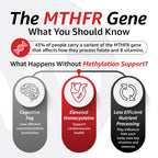 Methylated Multivitamin by 10X Health Optimize

