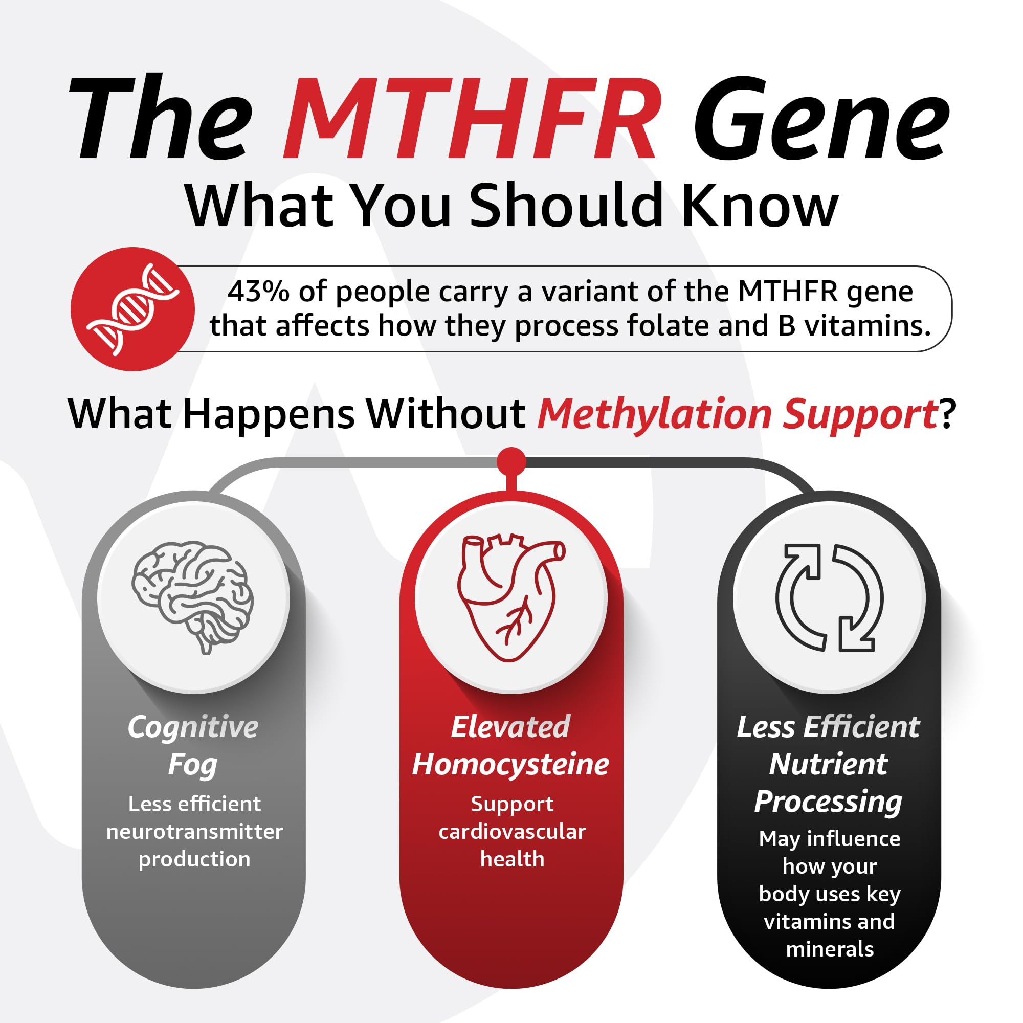 10X Health 5-MTHF Methylfolate Supplement for Brain & Heart

