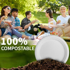 Compostable Sugarcane Paper Plates | Eco Dinnerware

