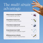 Pendulum Metabolic Daily Probiotic with Akkermansia

