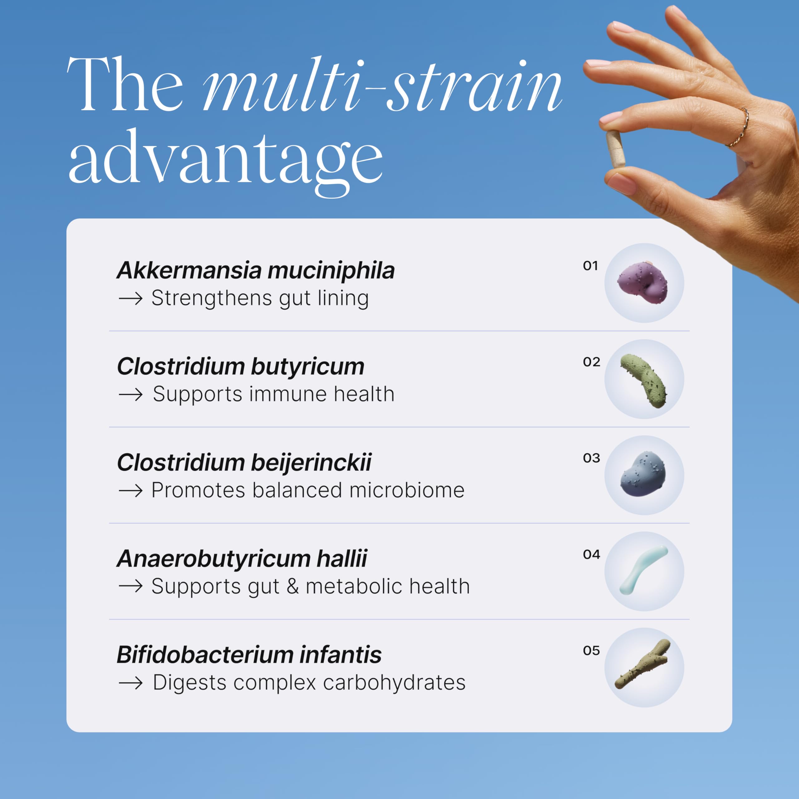 Pendulum Metabolic Daily Probiotic with Akkermansia

