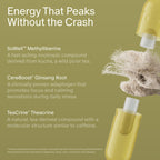 Seed Daily Focus & Energy Supplement | Focus & Clarity

