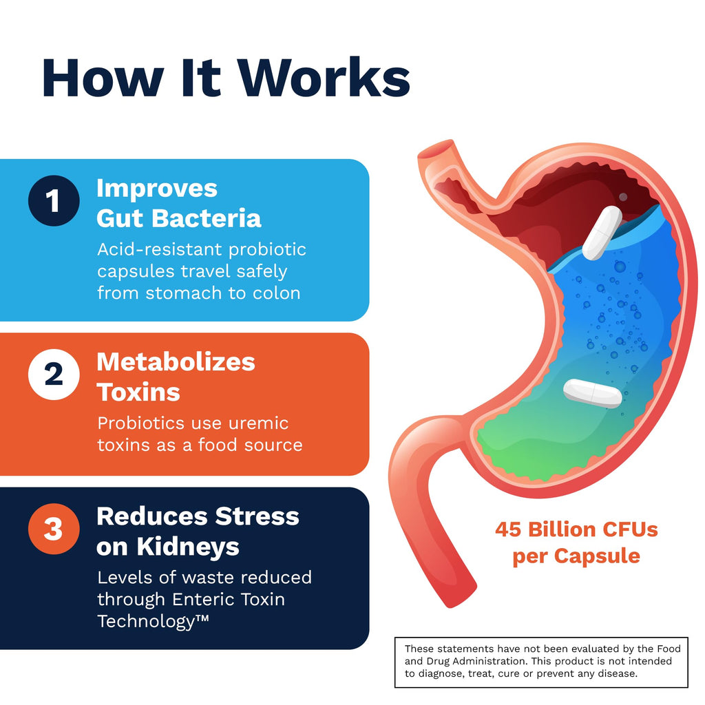Renadyl Kidney Probiotic Supplement | Kibow Biotech


