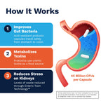 Renadyl Kidney Probiotic Supplement | Kibow Biotech

