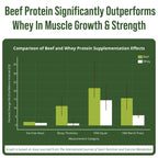 Grass Fed Beef Protein Isolate Powder - Lactose Free

