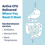 Klaire Labs Saccharomyces boulardii Probiotic - 5B CFU

