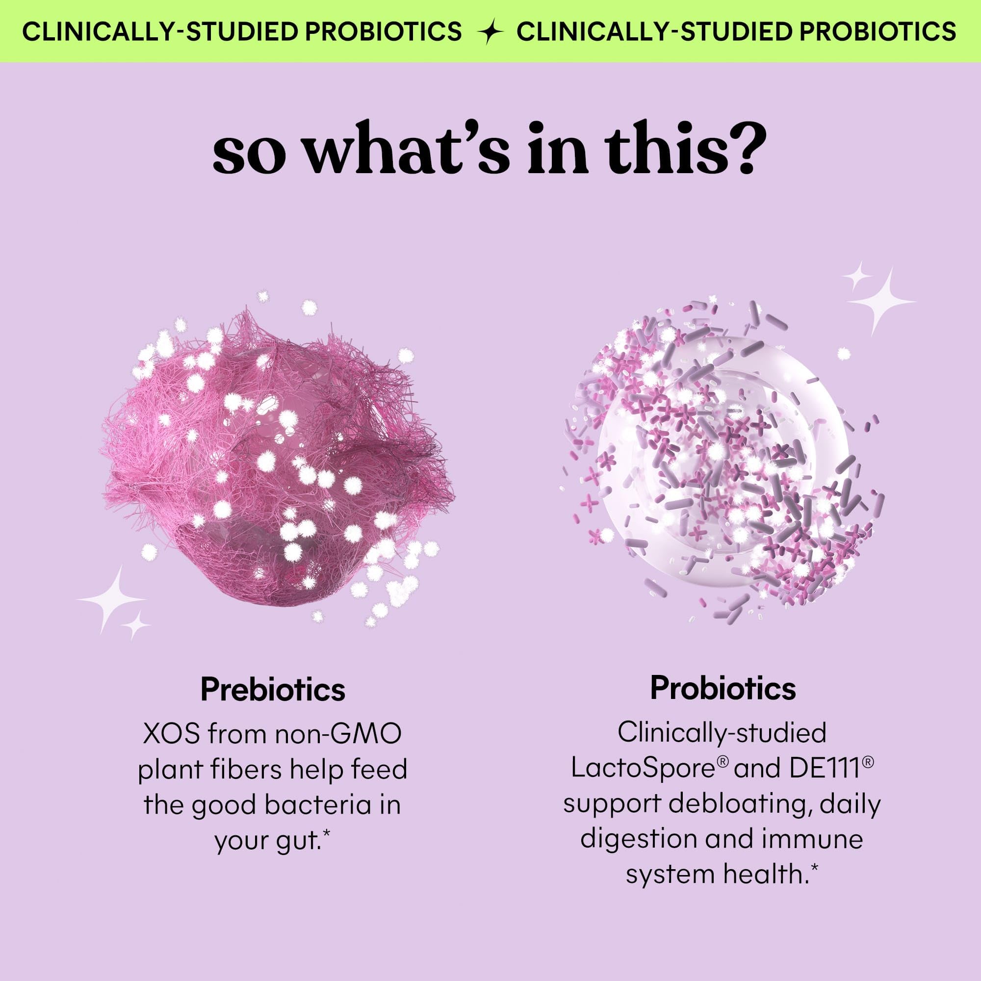 Lemme Debloat Probiotic Gummies with Prebiotic

