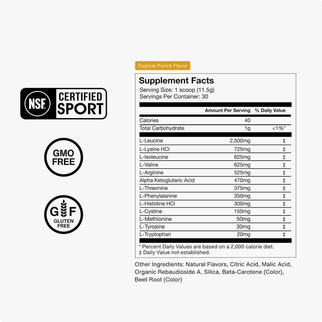 Momentous Vital Aminos Powder | BCAA & EAA


