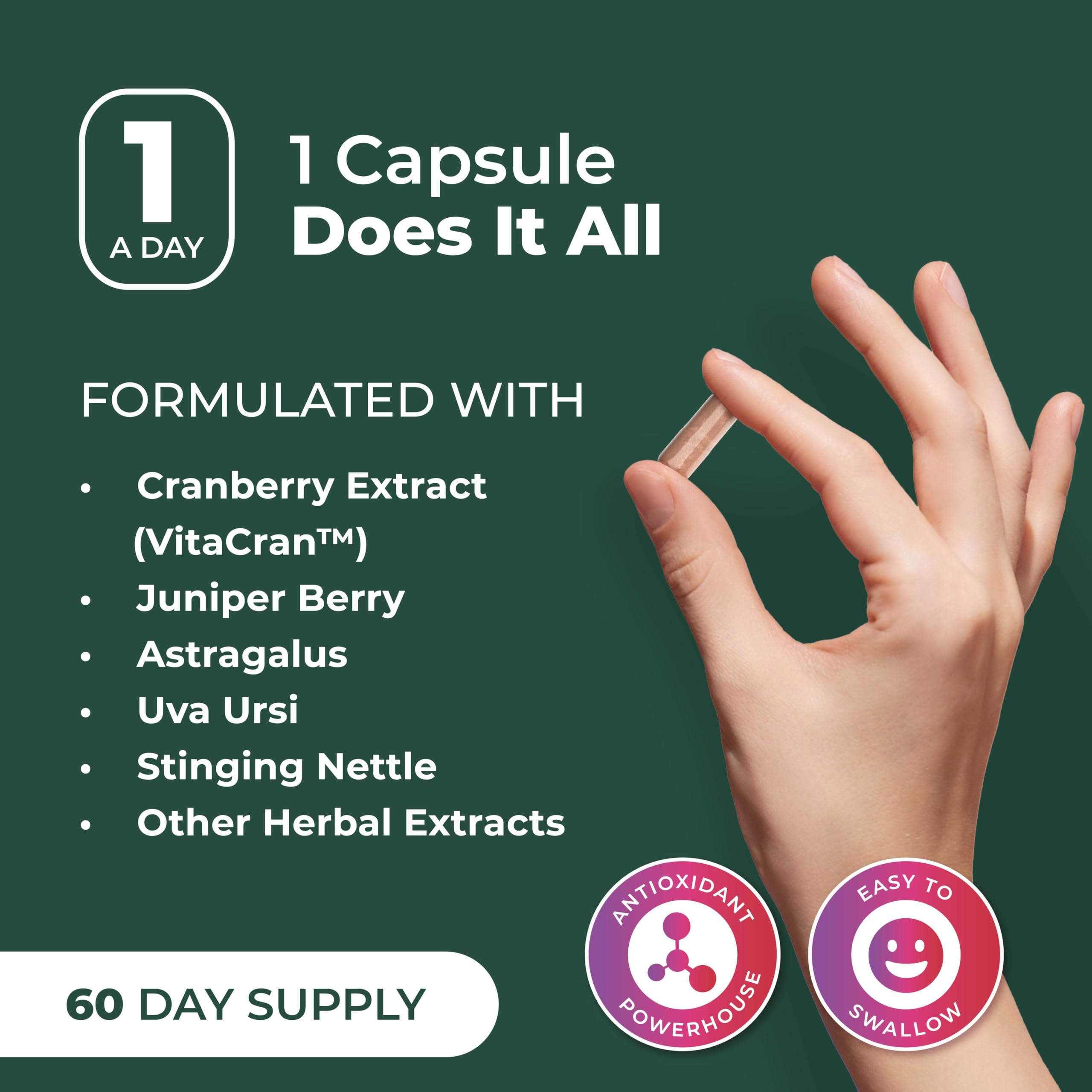 PurePremium Kidney Support - Cranberry & Astragalus Detox

