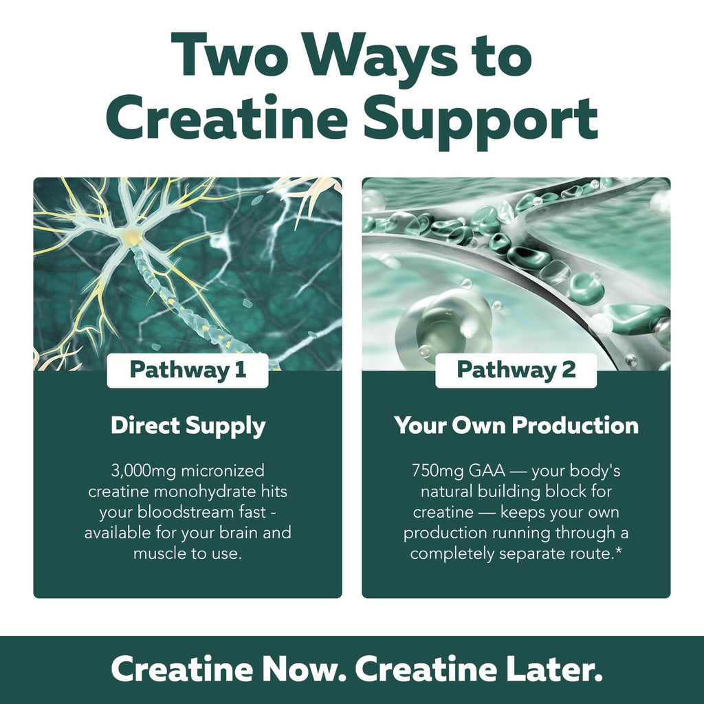 Creatine Supplement for Energy & Focus


