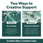 Creatine Supplement for Energy & Focus

