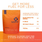 Tailwind Endurance Fuel Carbohydrate & Electrolyte Drink

