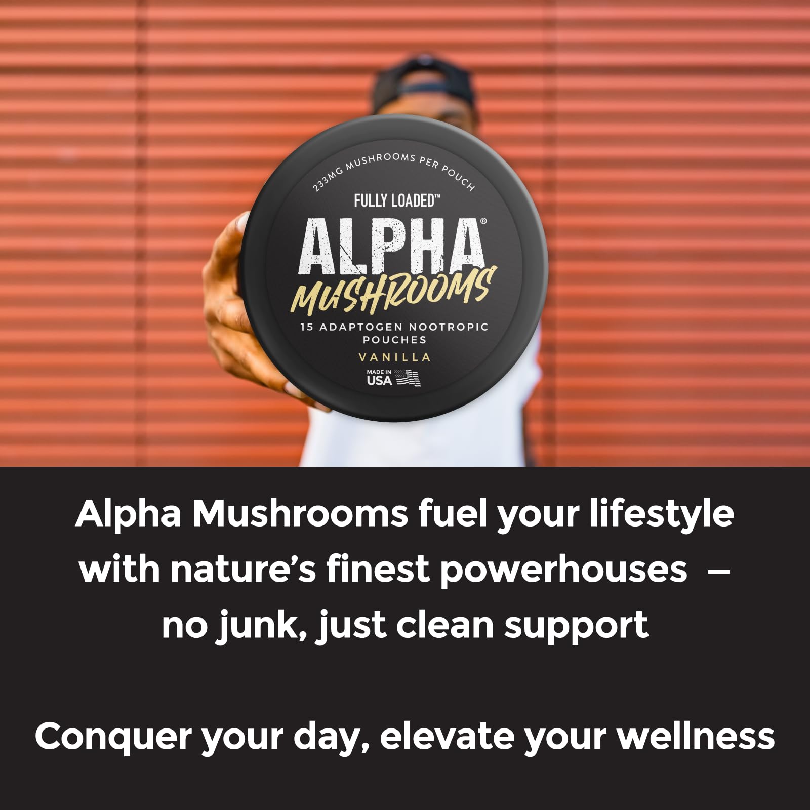 Fully Loaded Alpha Mushrooms Adaptogen Nootropic

