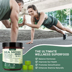 Sea Moss Gummies with Bladderwrack – Immune & Digestion

