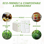Vplus Sugarcane Fiber Paper Plates | Eco-Friendly


