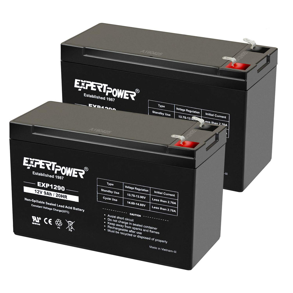 ExpertPower EXP1290 AGM Rechargeable Battery

