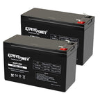 ExpertPower EXP1290 AGM Rechargeable Battery

