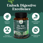 Digestive Enzymes with Ox Bile for Fat and Nutrient Digestion

