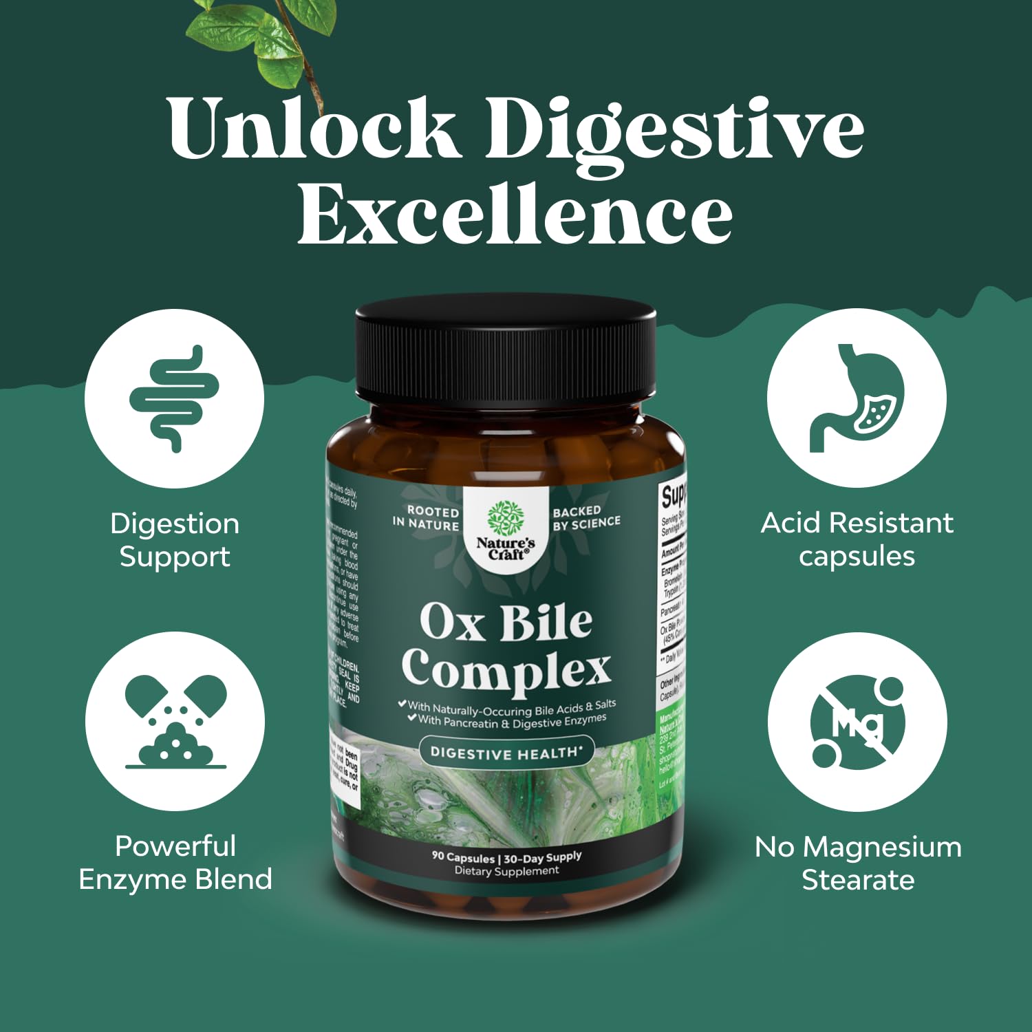 Digestive Enzymes with Ox Bile for Fat and Nutrient Digestion

