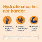 NativePath Hydrate Electrolytes Powder Zero Sugar with BCAAs

