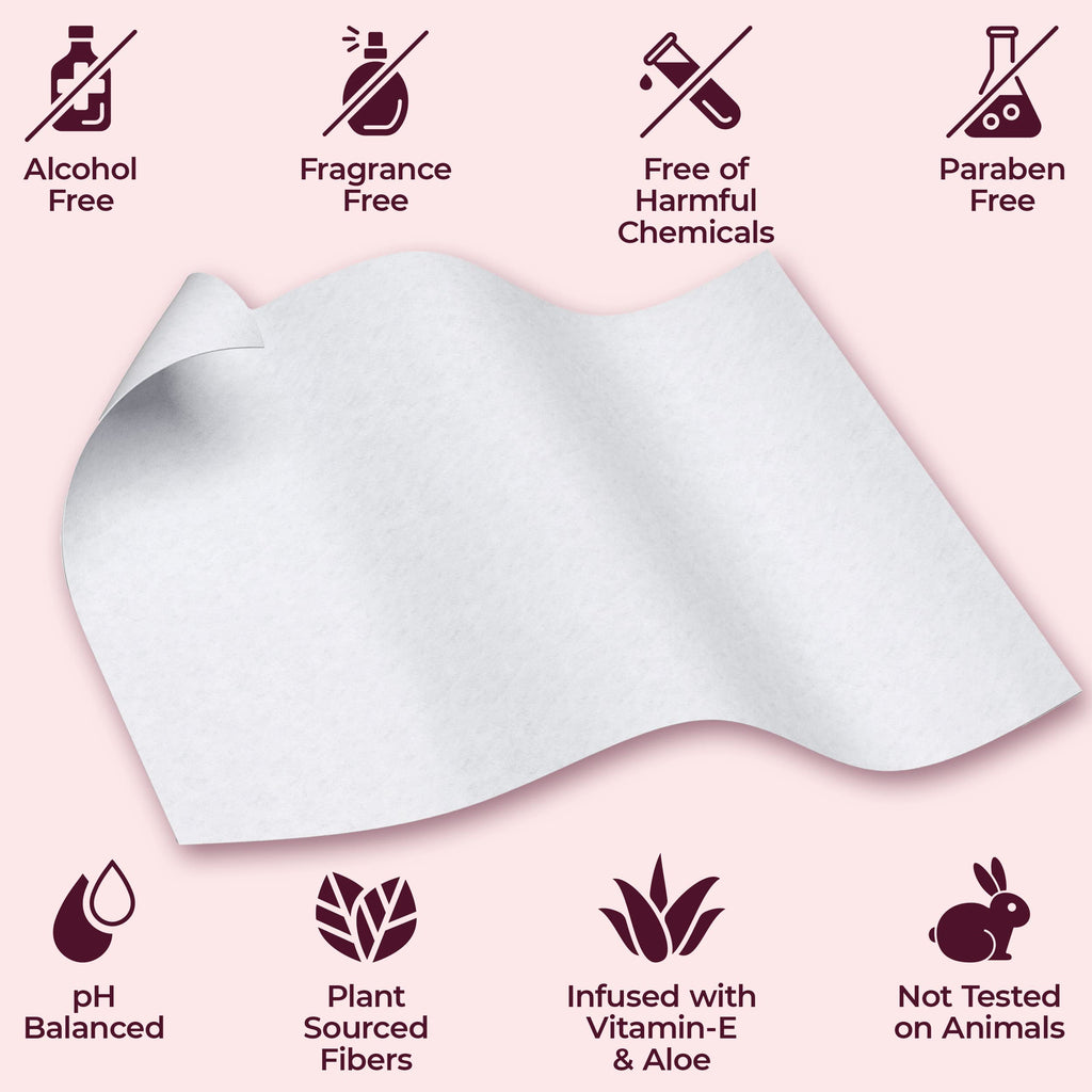 BOOTY WIPES Feminine Flushable Wipes with Aloe and Vitamin E

