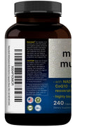 Methylated Multivitamin for Men and Women | High-Absorption


